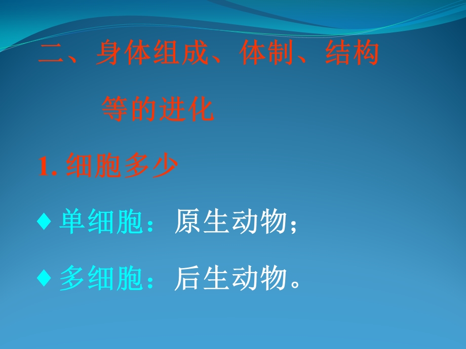 《动物进货规律》PPT课件.ppt_第3页