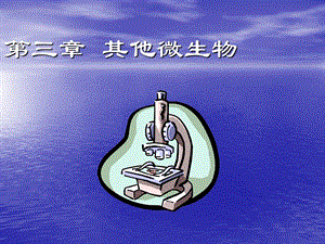 《其他微生物》PPT课件.ppt