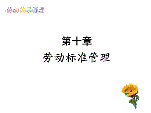 《劳动标准管理》PPT课件.ppt