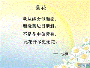 《古诗元稹菊花》PPT课件.ppt