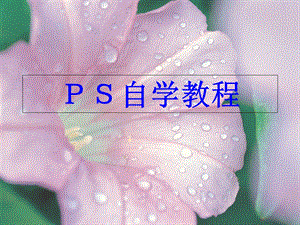 《PS自学教程》PPT课件.ppt