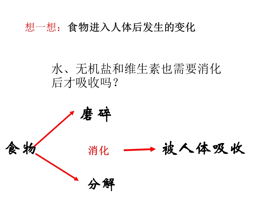 水无机盐维生素.ppt_第3页