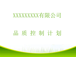 《品质控制计划》PPT课件.ppt