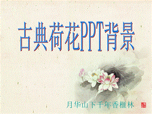 《古典荷花背景》PPT课件.ppt