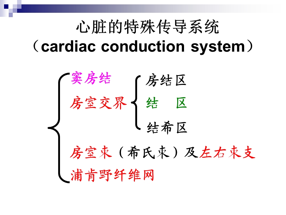 《心肌细胞的生物电》PPT课件.ppt_第3页