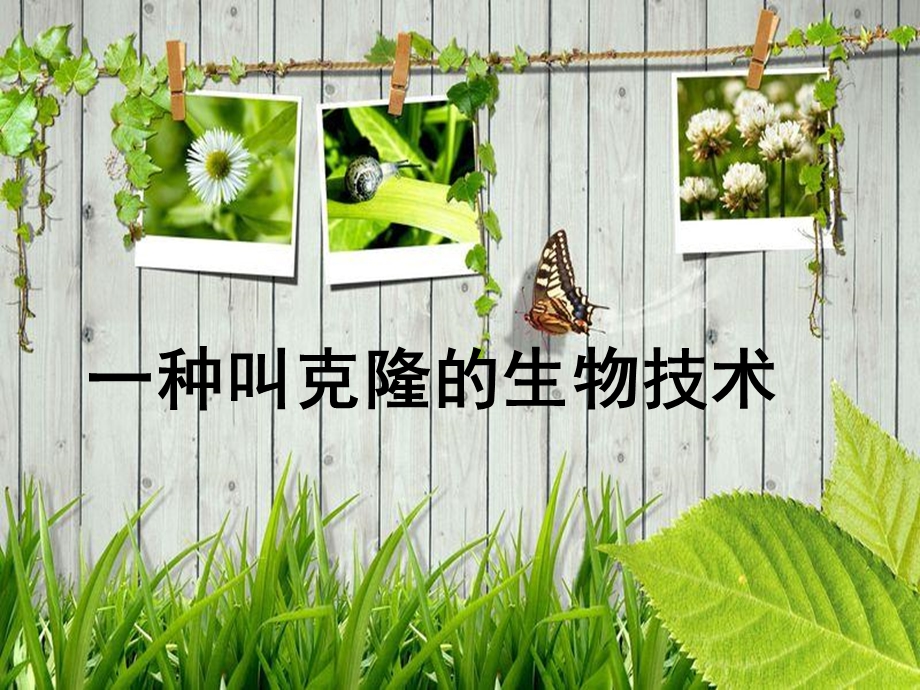 《克隆生物技术》PPT课件.ppt_第1页