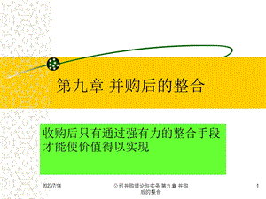 《并购后的整合》PPT课件.ppt