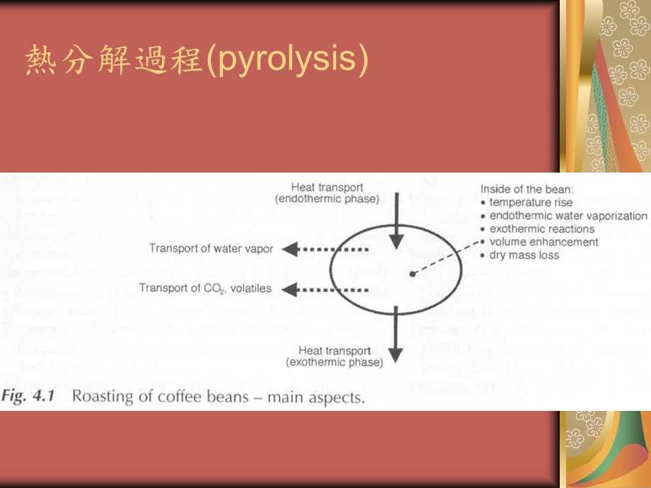 《咖啡生豆烘焙》PPT课件.ppt_第3页