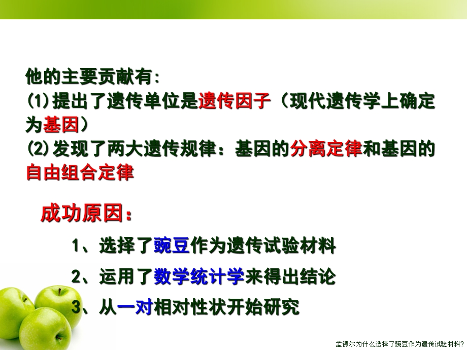 《分离定律开课》PPT课件.ppt_第3页