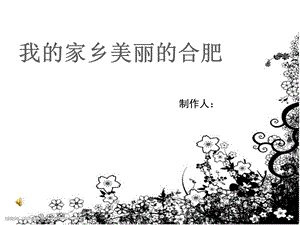 《我的家乡合肥》PPT课件.ppt