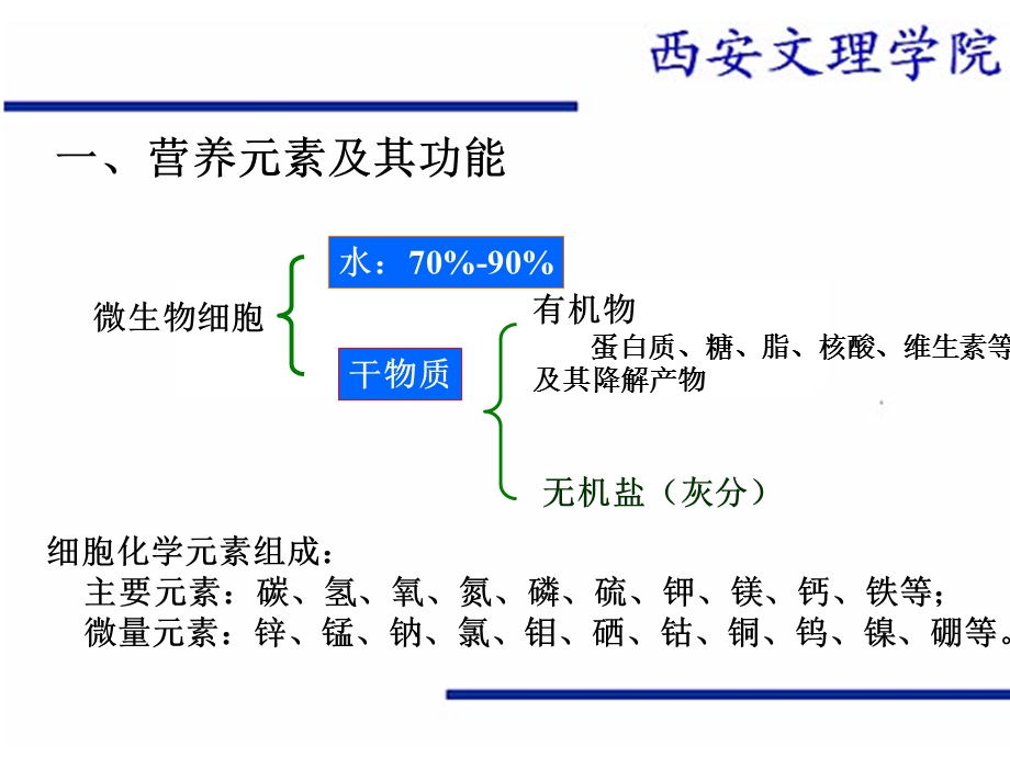 《园艺学专业》PPT课件.ppt_第3页