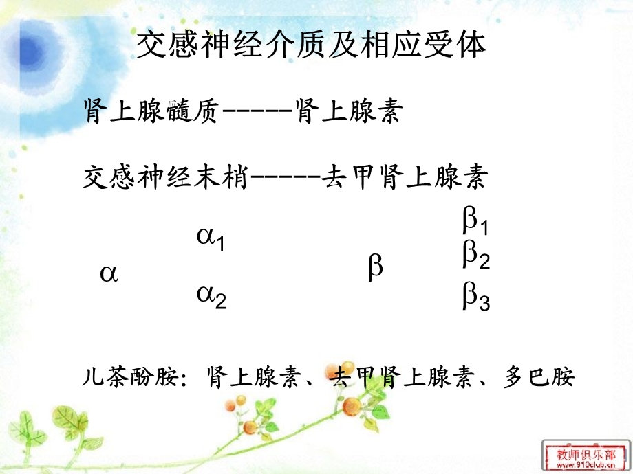 《受体阻滞剂的》PPT课件.ppt_第3页