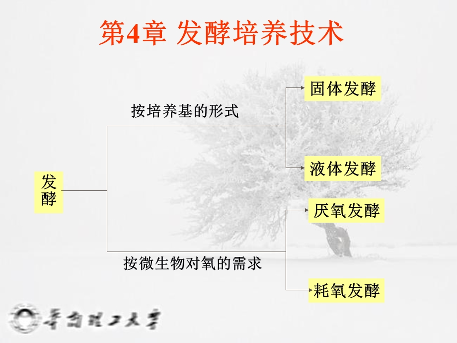 《发酵培养技术》PPT课件.ppt_第1页