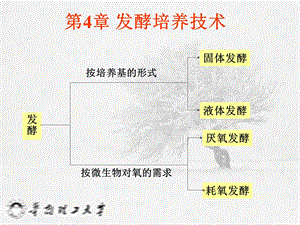 《发酵培养技术》PPT课件.ppt