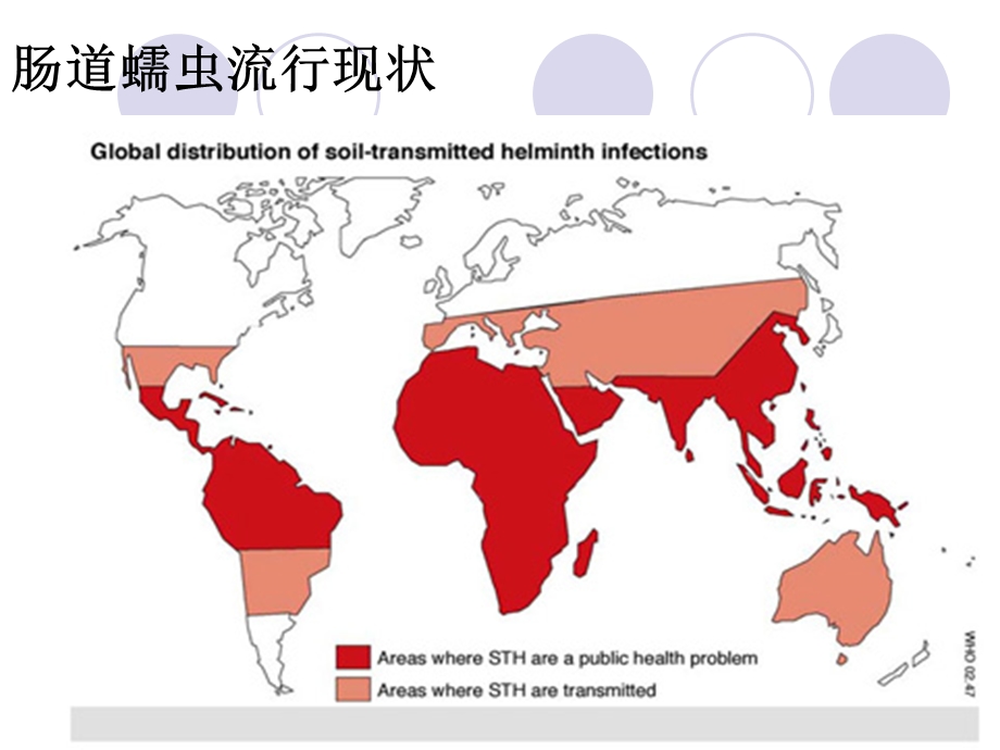 《土源性线虫病》PPT课件.ppt_第2页