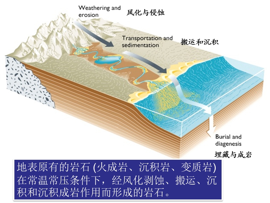 实验三：认识常见沉积岩(刘长江).ppt_第2页