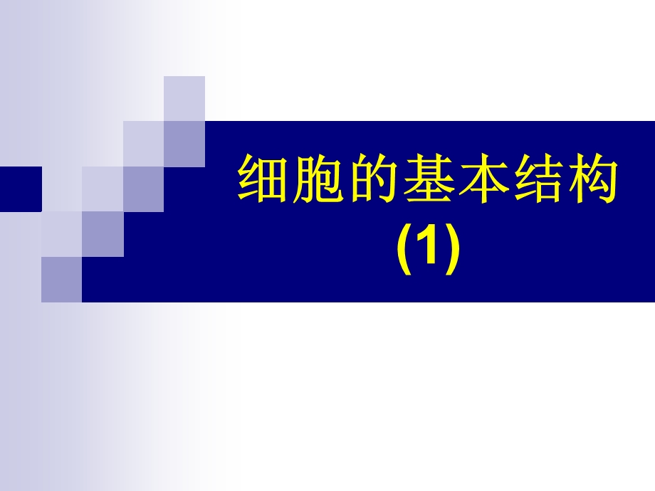 细胞基本结构1.ppt_第1页