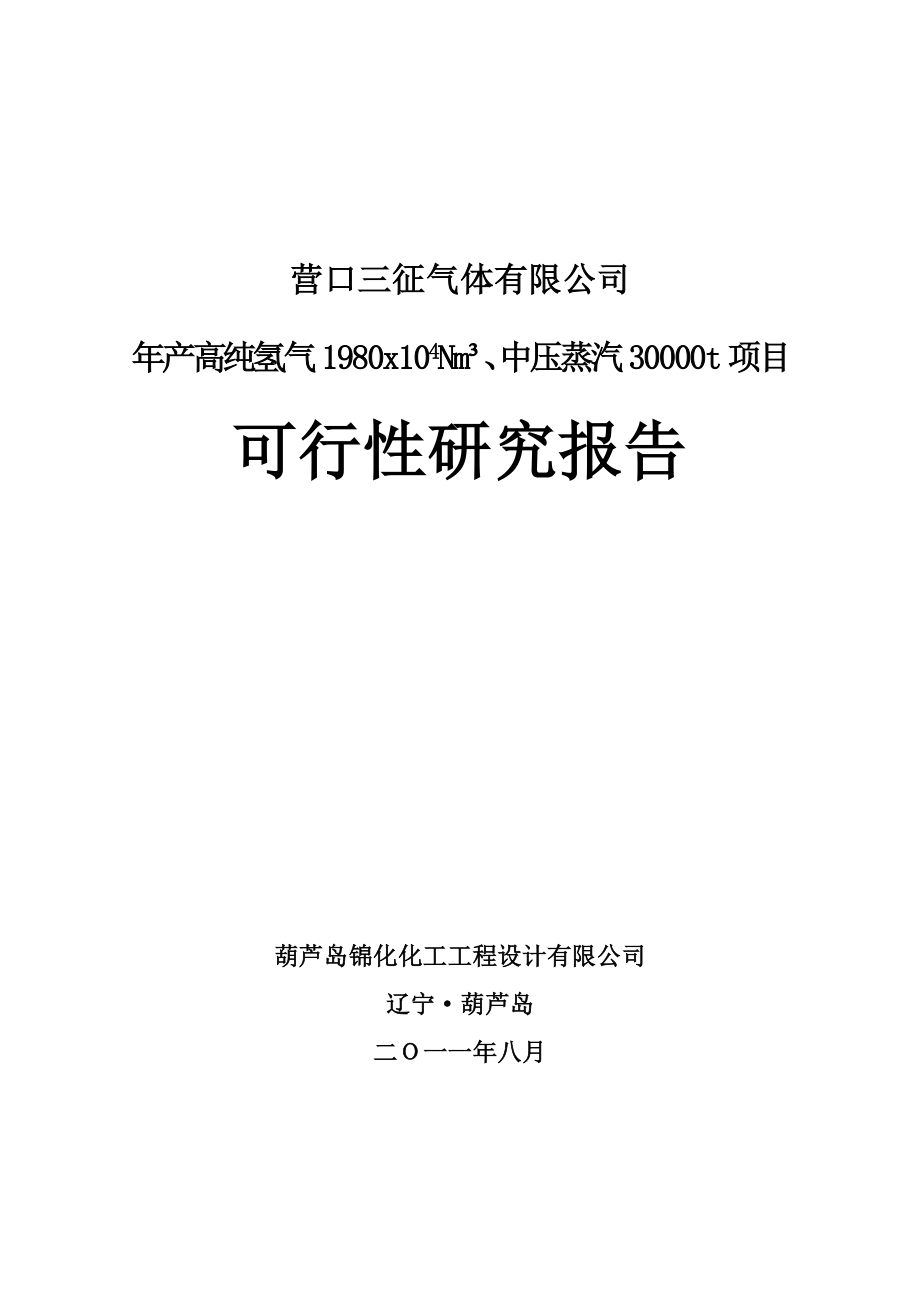 年产高纯氢气980x04Nm3、中压蒸汽30000t项目可行研究报告.doc_第1页