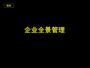 《企业全景管理》PPT课件.ppt