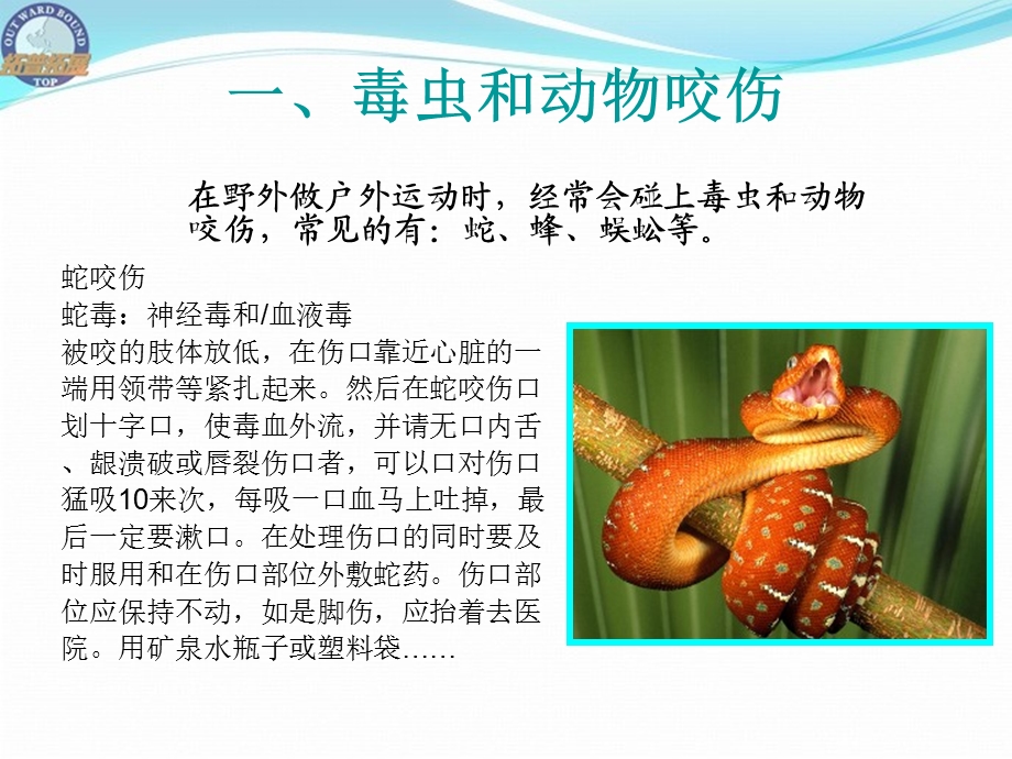 《户外急救常识》PPT课件.ppt_第1页