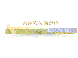 《常用腧穴新》PPT课件.ppt