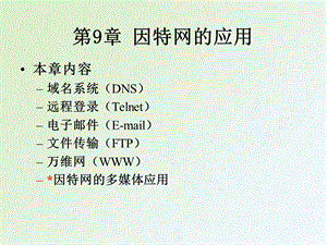 《因特网的应用》PPT课件.ppt