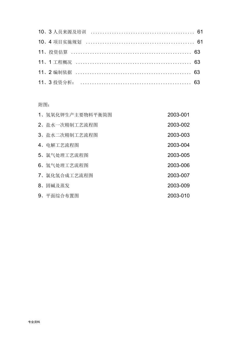 化工氢氧化钾工程建设项目可行性研究报告.docx_第3页