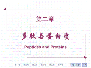 《多肽与蛋白质》PPT课件.ppt