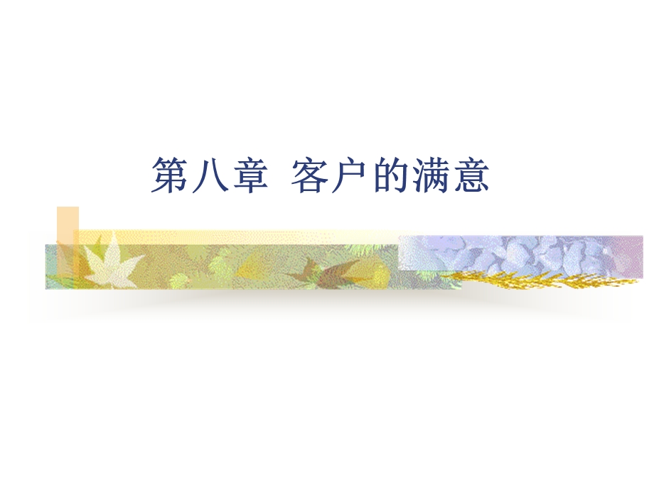 《客户的满意》PPT课件.ppt_第1页