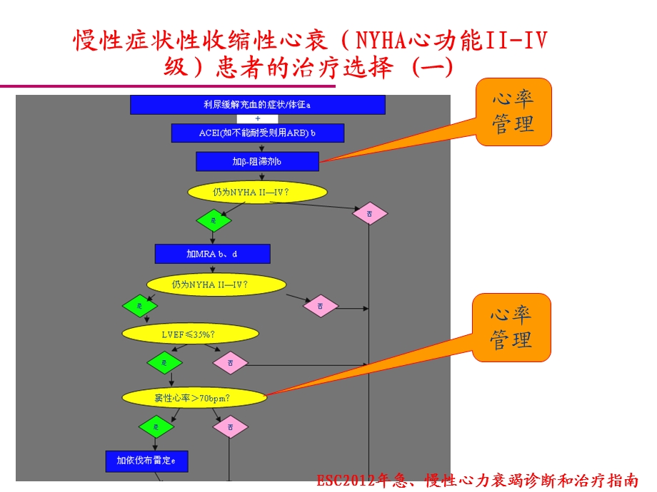 《心内科范忠才》PPT课件.ppt_第3页