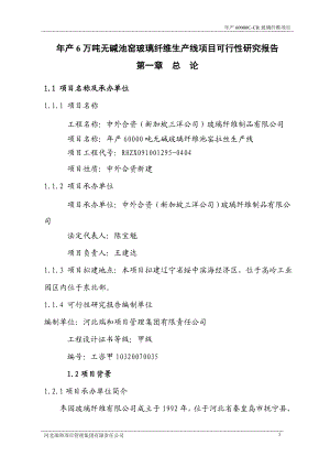 年产6万吨无碱池窑玻璃纤维生产线建设项目可行研究报告代项目建议.doc