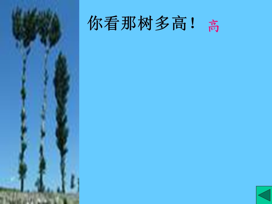 《小学语文白杨》PPT课件.ppt_第3页