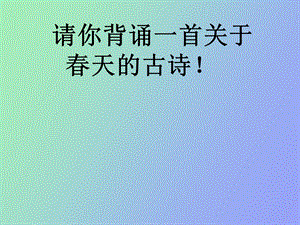 《上册古诗两首》PPT课件.ppt