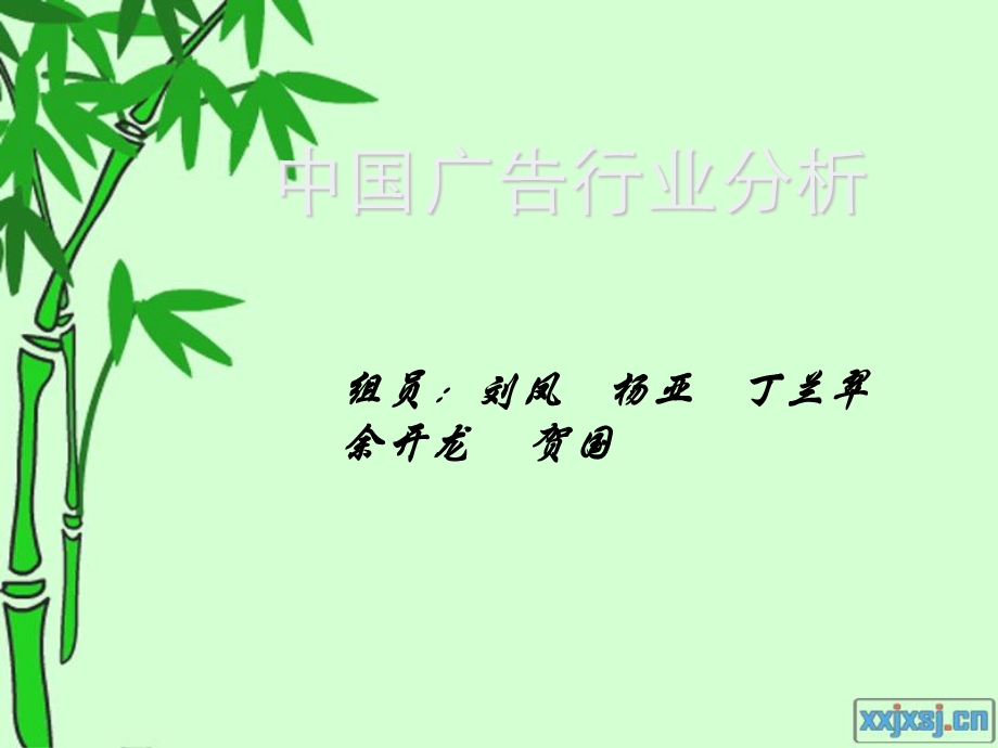 《广告行业分析》PPT课件.ppt_第1页