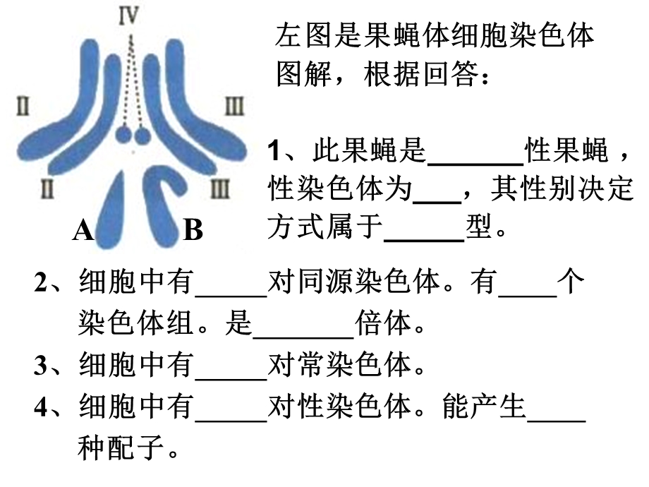 《复习育种专题》PPT课件.ppt_第1页