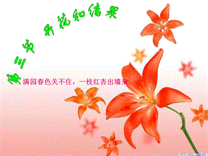 《开花与结果》PPT课件.ppt