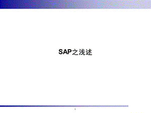 《SAP之浅述》PPT课件.ppt