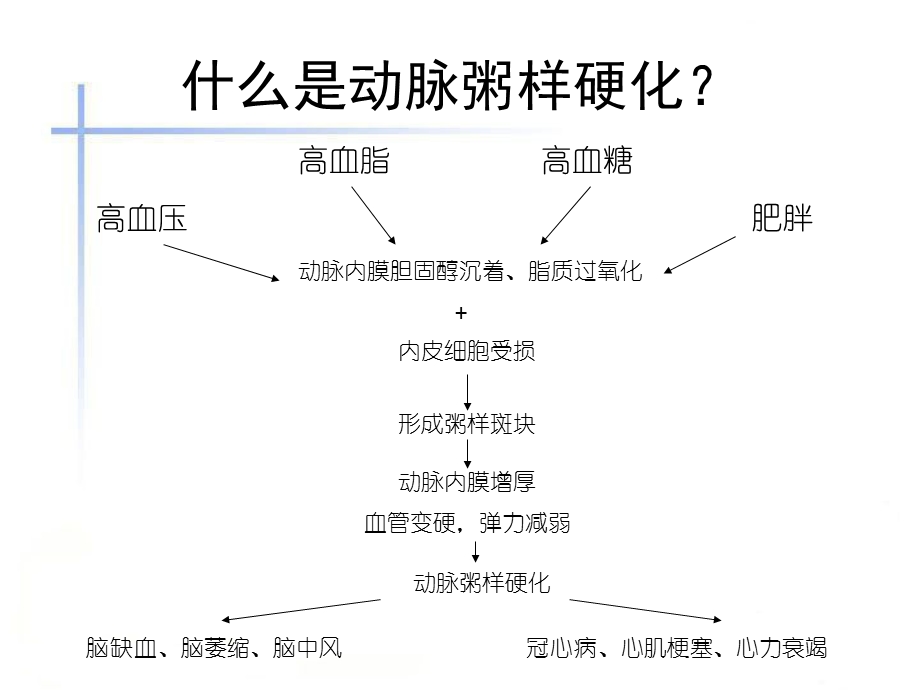 《动脉硬化食疗》PPT课件.ppt_第2页