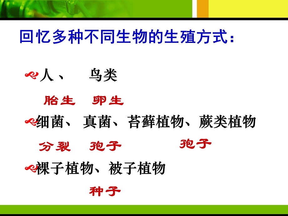 711植物的生殖.ppt_第2页