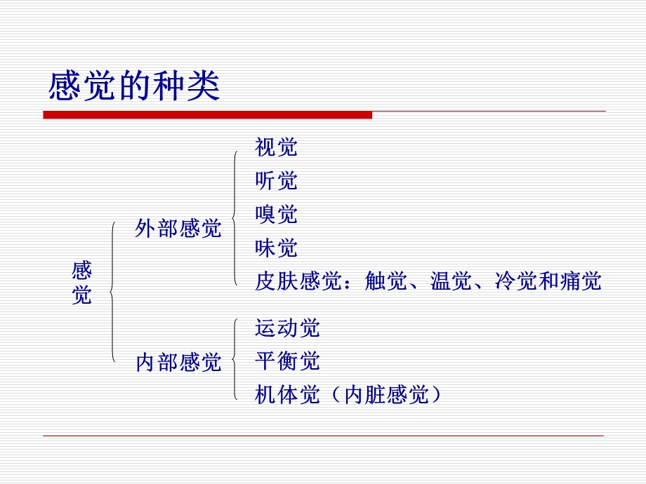 《感觉过程》PPT课件.ppt_第2页