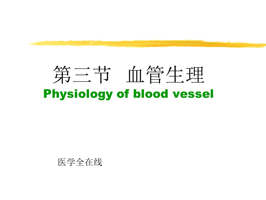 《循环系统血管》PPT课件.ppt_第1页