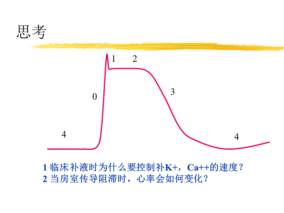 《循环系统血管》PPT课件.ppt_第3页