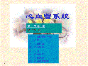 《心血管系统》PPT课件.ppt