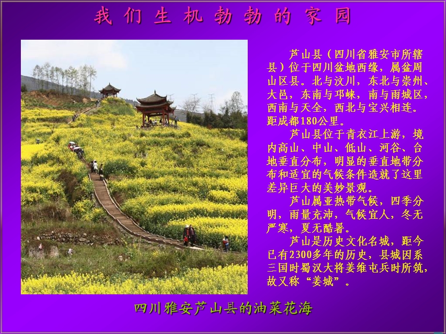 我们生机勃勃的家园.ppt_第1页