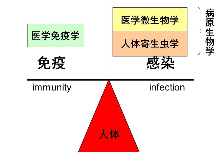 《医学微生物学》PPT课件.ppt_第2页