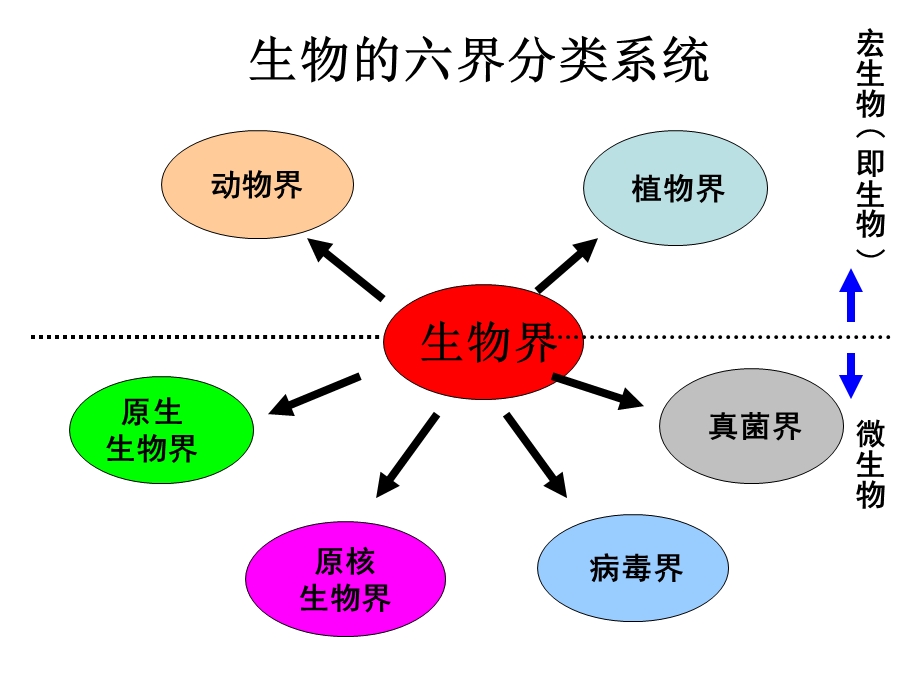 《医学微生物学》PPT课件.ppt_第3页