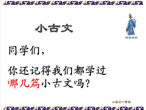 《小古文菊》PPT课件.ppt