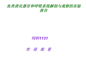 鱼类消化器官和呼吸系统解剖与观察的实验报告.ppt