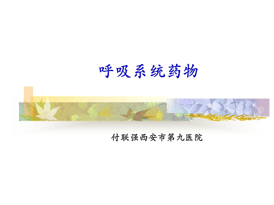 《呼吸系统用药》PPT课件.ppt_第1页