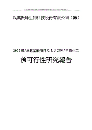 年产3000吨年氨基酸项目和35万吨年磷化工产品项目可行研究报告.doc